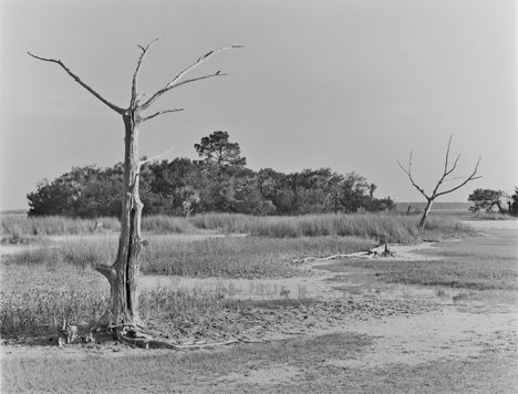 Dialogue in the Marshlands